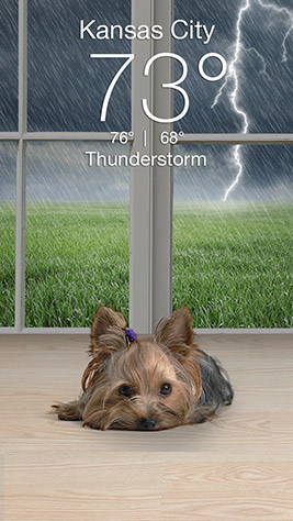 Weather Puppy Screenshot 2